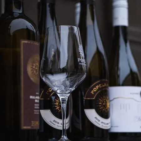 Vinarsky Dum, Vinarstvi Popela 3* 페르나