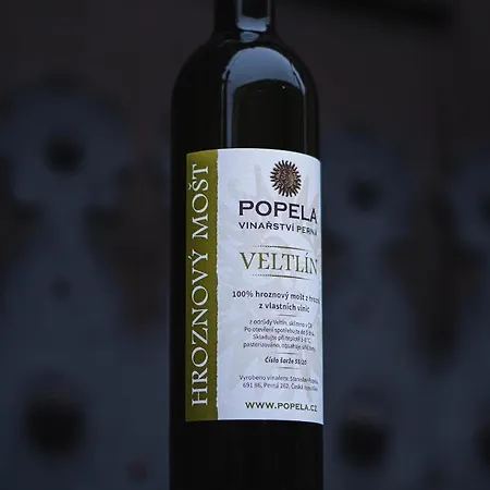 Vinarsky Dum, Vinarstvi Popela Perna