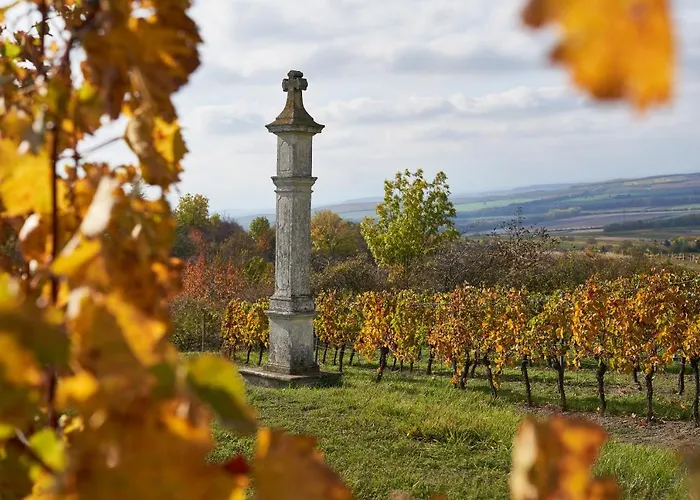Vinarsky Dum, Vinarstvi Popela Gasthuis 3*