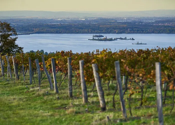Gasthuis Vinarsky Dum, Vinarstvi Popela 3*
