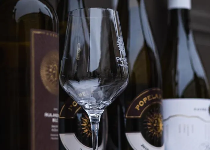 Vinarsky Dum, Vinarstvi Popela 3* Perná